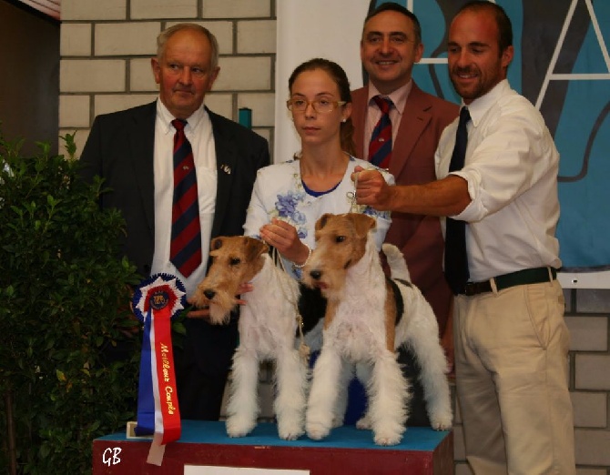 National D´Elevage 2016 - Issy- l'Eveque